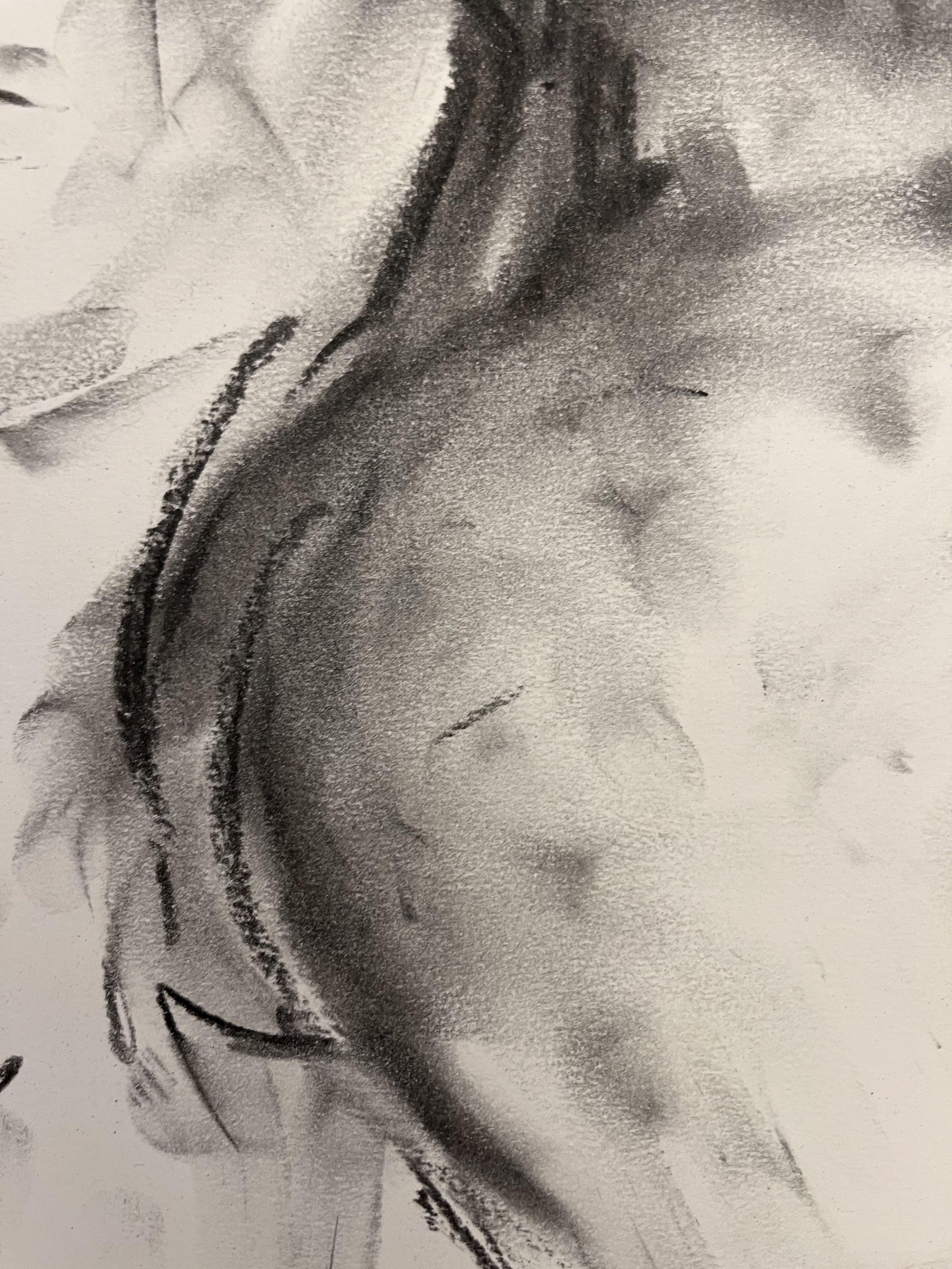 Observation, Drawing, Charcoal on Paper For Sale 1