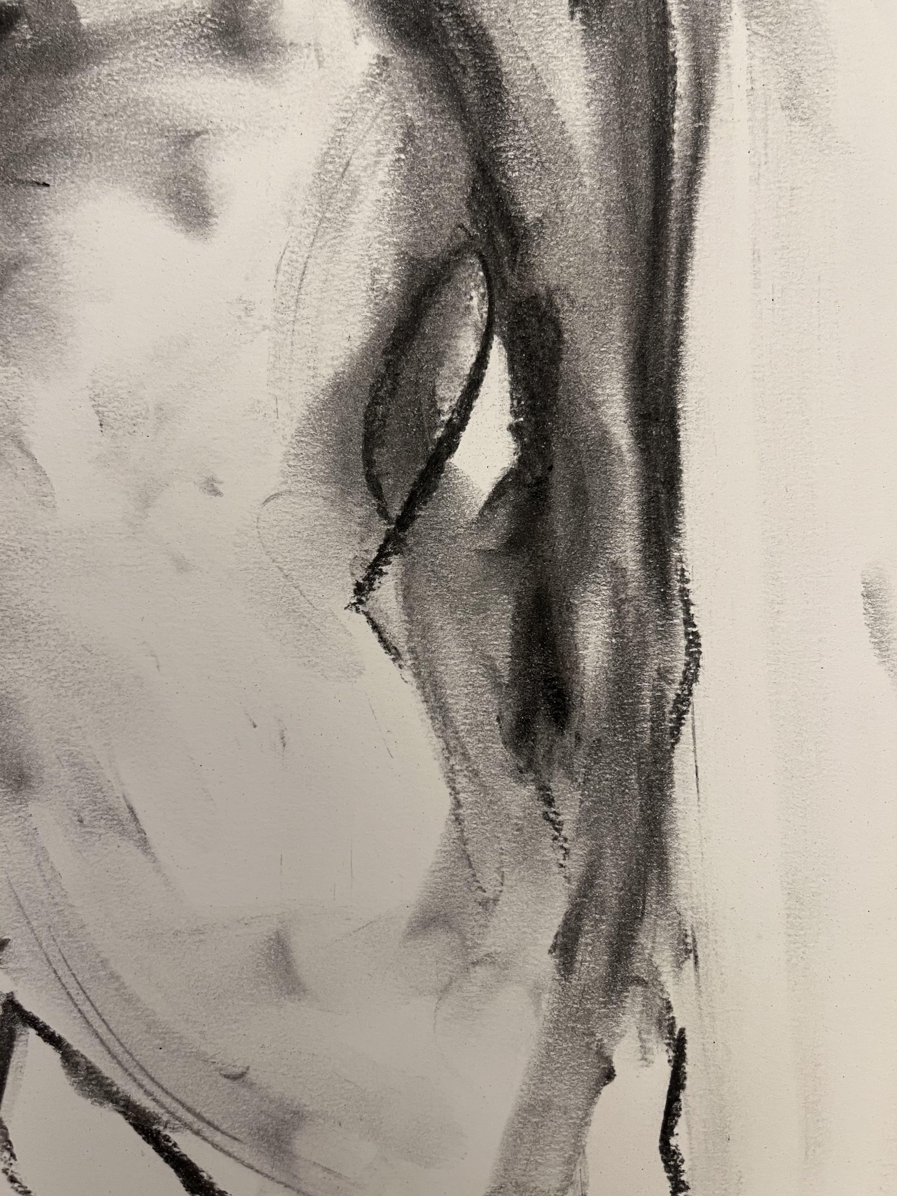 Observation, Drawing, Charcoal on Paper For Sale 2