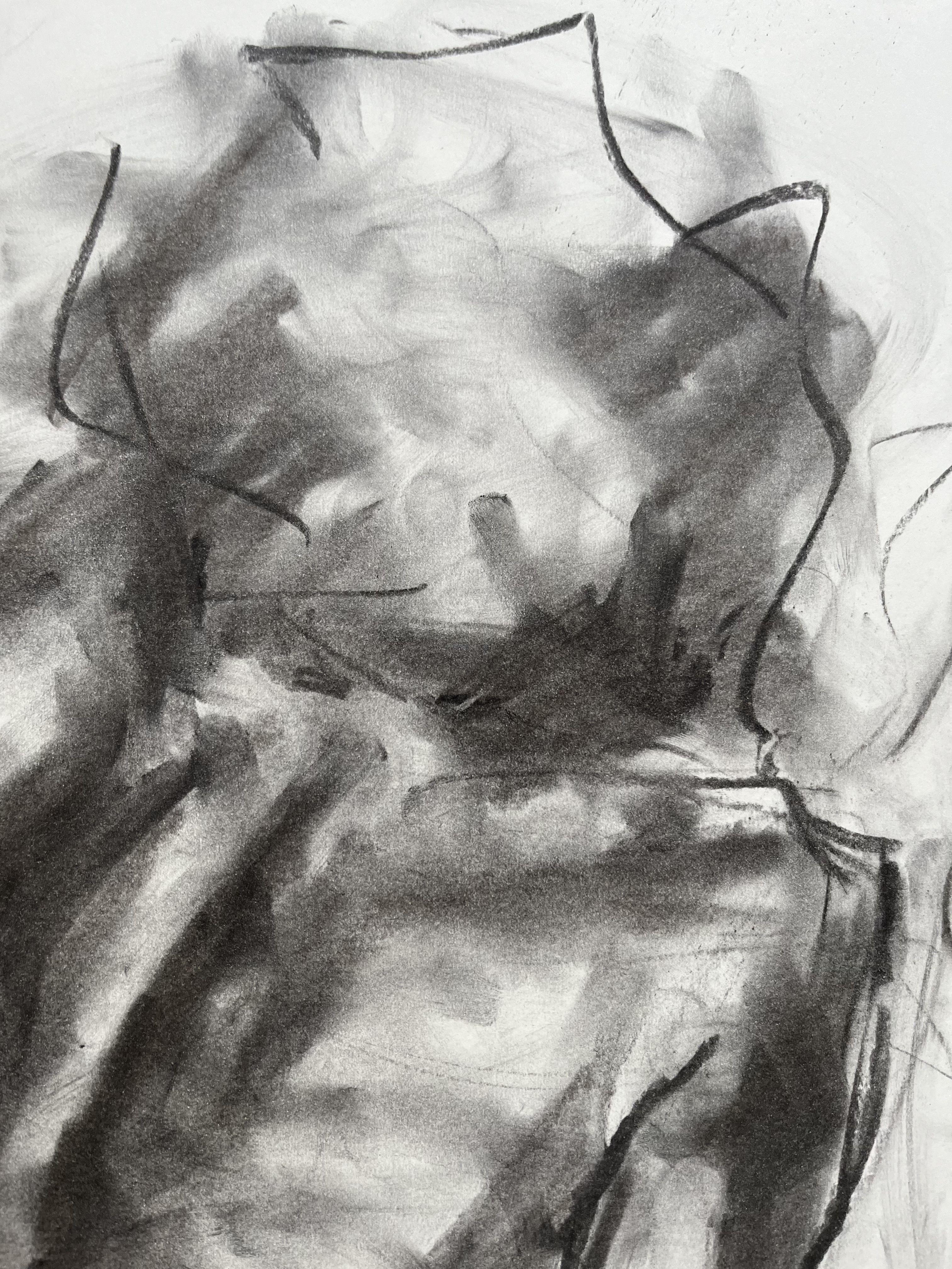 Original charcoal drawing on paper by James Shipton  My works are heavily influenced by the art work of Degas and Gustav Klimt.    My desire is to capture the human form, whilst portraying human emotion. Our Best captures manâ€™s constant struggle