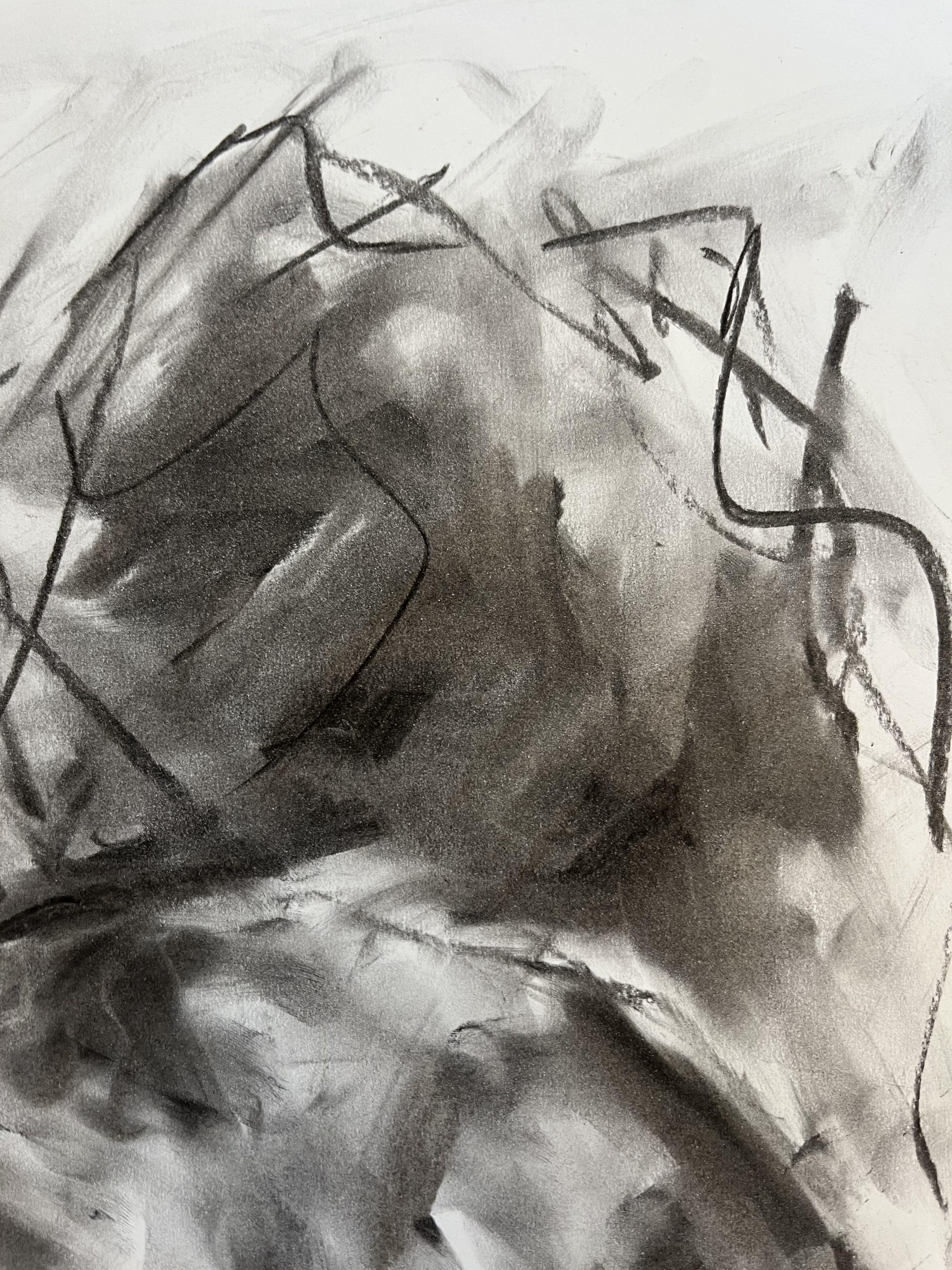 Liberation, Drawing, Charcoal on Paper - Impressionist Art by James Shipton