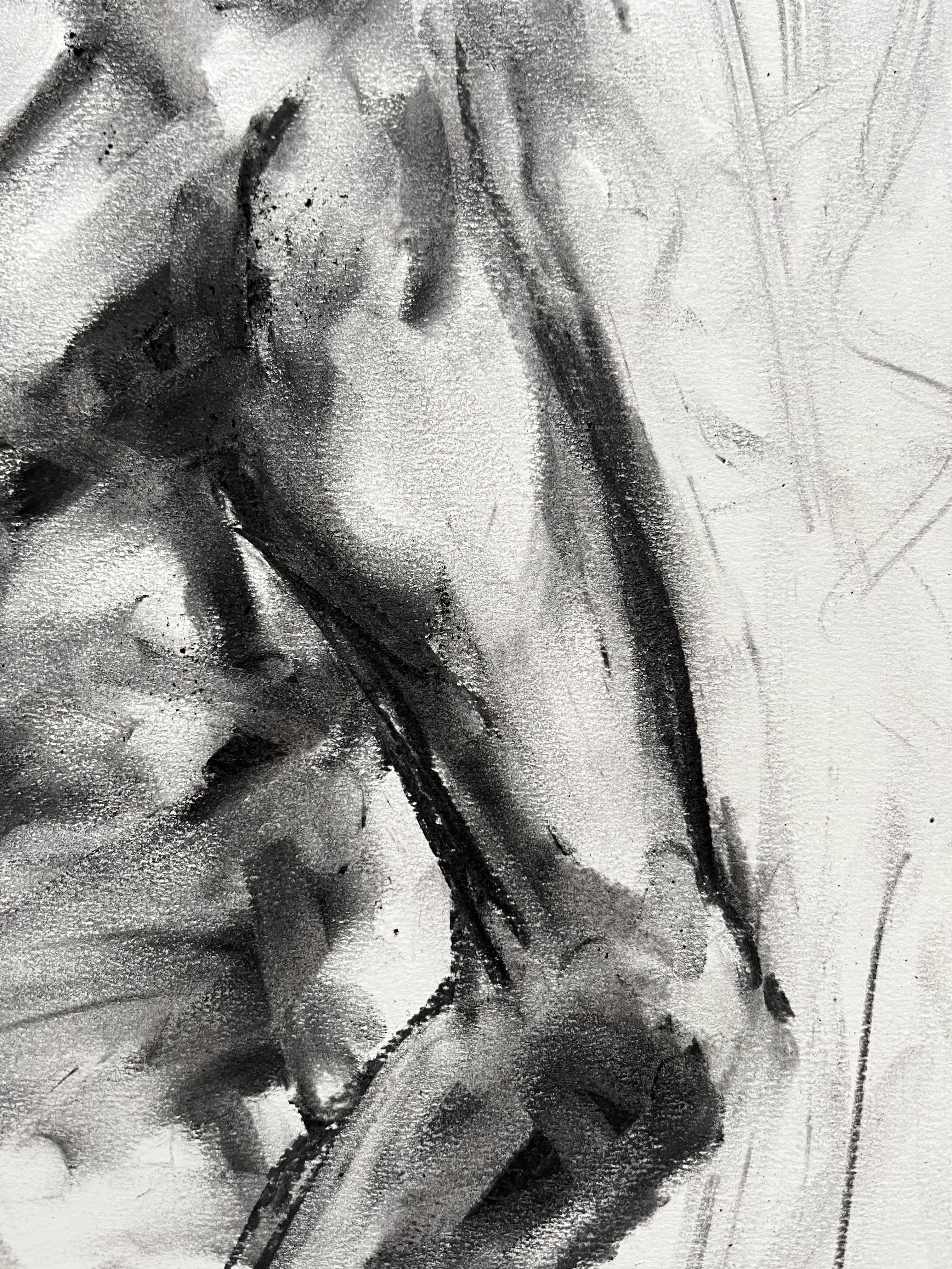 Original charcoal drawing on paper by James Shipton  My works are heavily influenced by the art work of Degas and Gustav Klimt.    My desire is to capture the beauty of the human form, whilst portraying human isolation. I achieve this through a