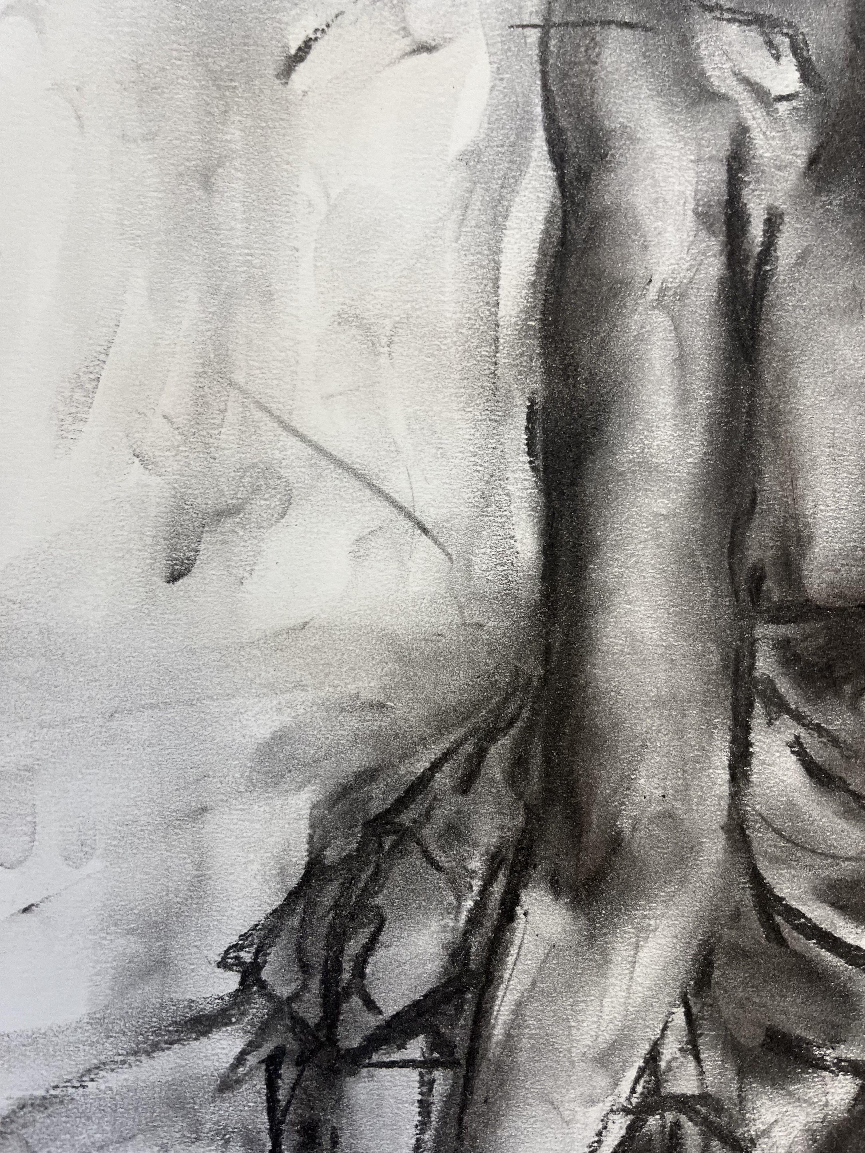 Original charcoal drawing on paper by James Shipton  My works are heavily influenced by the art work of Degas and Gustav Klimt.    My desire is to capture the beauty of the human form, whilst portraying human isolation. I achieve this through a