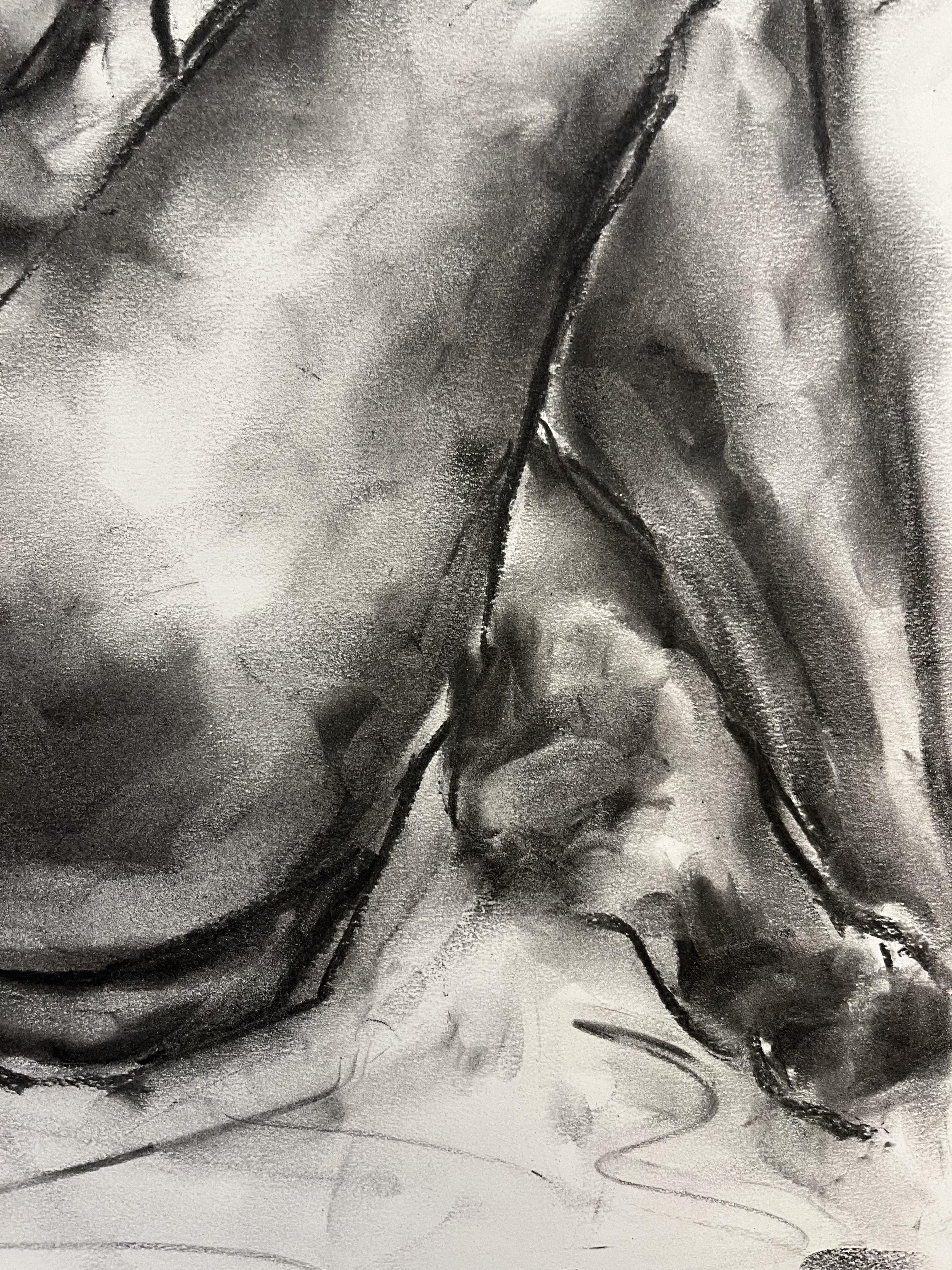Détroit, dessin, fusain sur papier en vente 2