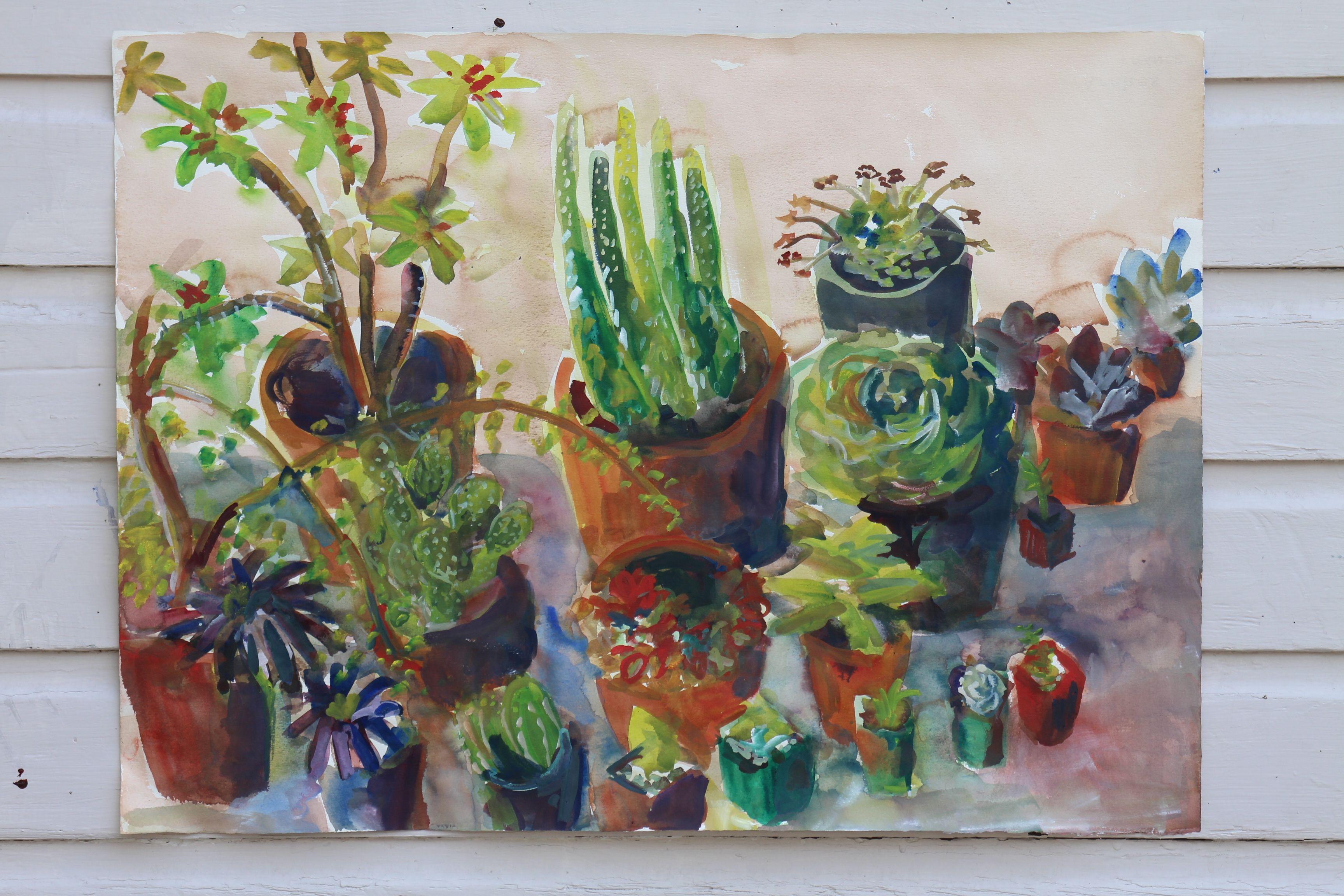 Giardino dei cactus, Pittura, Acquerello su carta - Art Impressionismo di John Kilduff