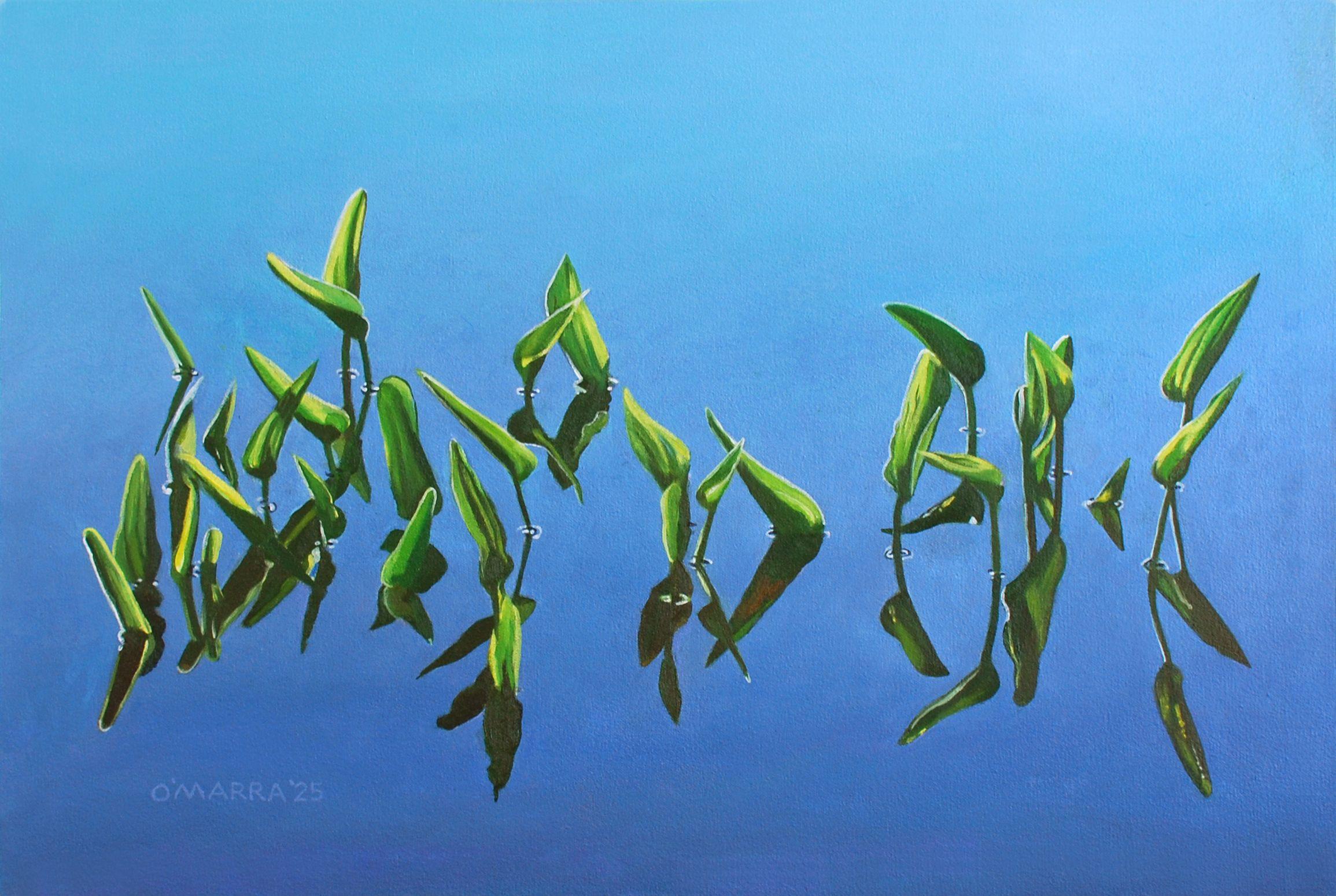 Congregación Pickerel Weed, Pintura, Óleo sobre lienzo - Art de Allan O'Marra