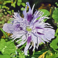 Purple Ornamental Poppy, Painting, Oil on Canvas