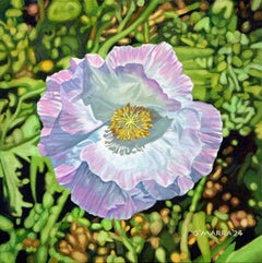 Pink Poppy II, peinture, huile sur toile