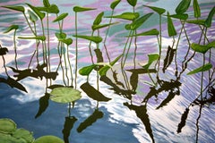 Pickerel Weed Fries, Gemälde, Öl auf Leinwand