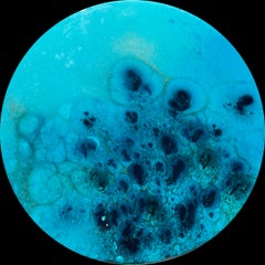 Round Ocean #76, Painting, Acrylic on Wood Panel