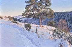 Crepuscolo sul MÃCzenc, Pittura, Olio su tela