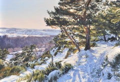 Sunset over snow-capped mountains, Painting, Oil on Canvas
