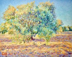 Olive Tree in July, Painting, Oil on Canvas