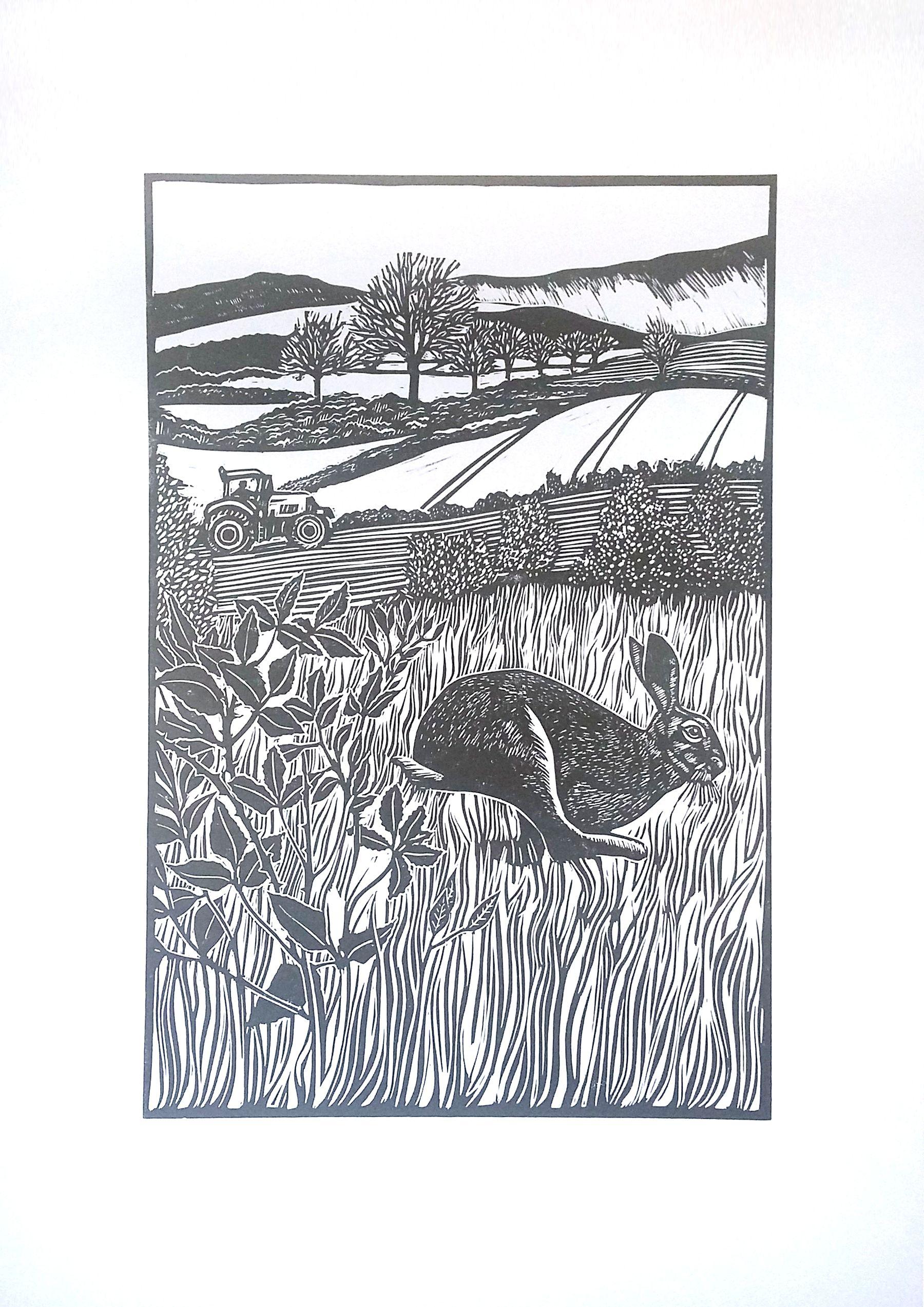 Der Hase und der... Traktor, Handdruckwerk, Linolschnitt – Art von Carolynne Coulson