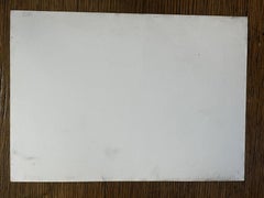 Lady ChatterleyâEs Lover- 05-10-25, Zeichnung, Bleistift/Farbstift auf Papier