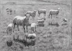 Counting Sheep â€" 26-05-25, Zeichnung, Bleistift/Buntstift auf Papier