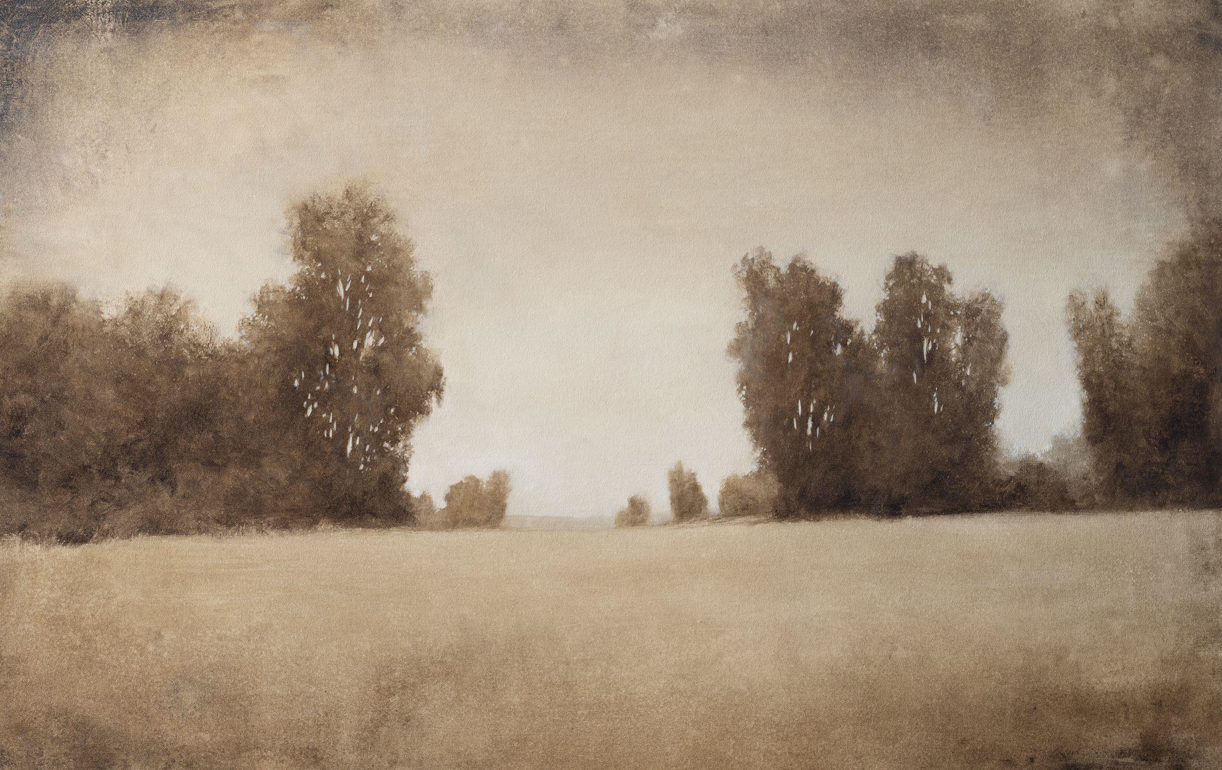 Afternoon Trees 241125, Painting, Oil on Canvas