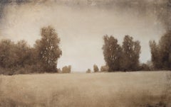 Afternoon Trees 241125, Painting, Oil on Canvas