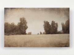 Afternoon Trees 241125, Painting, Oil on Canvas
