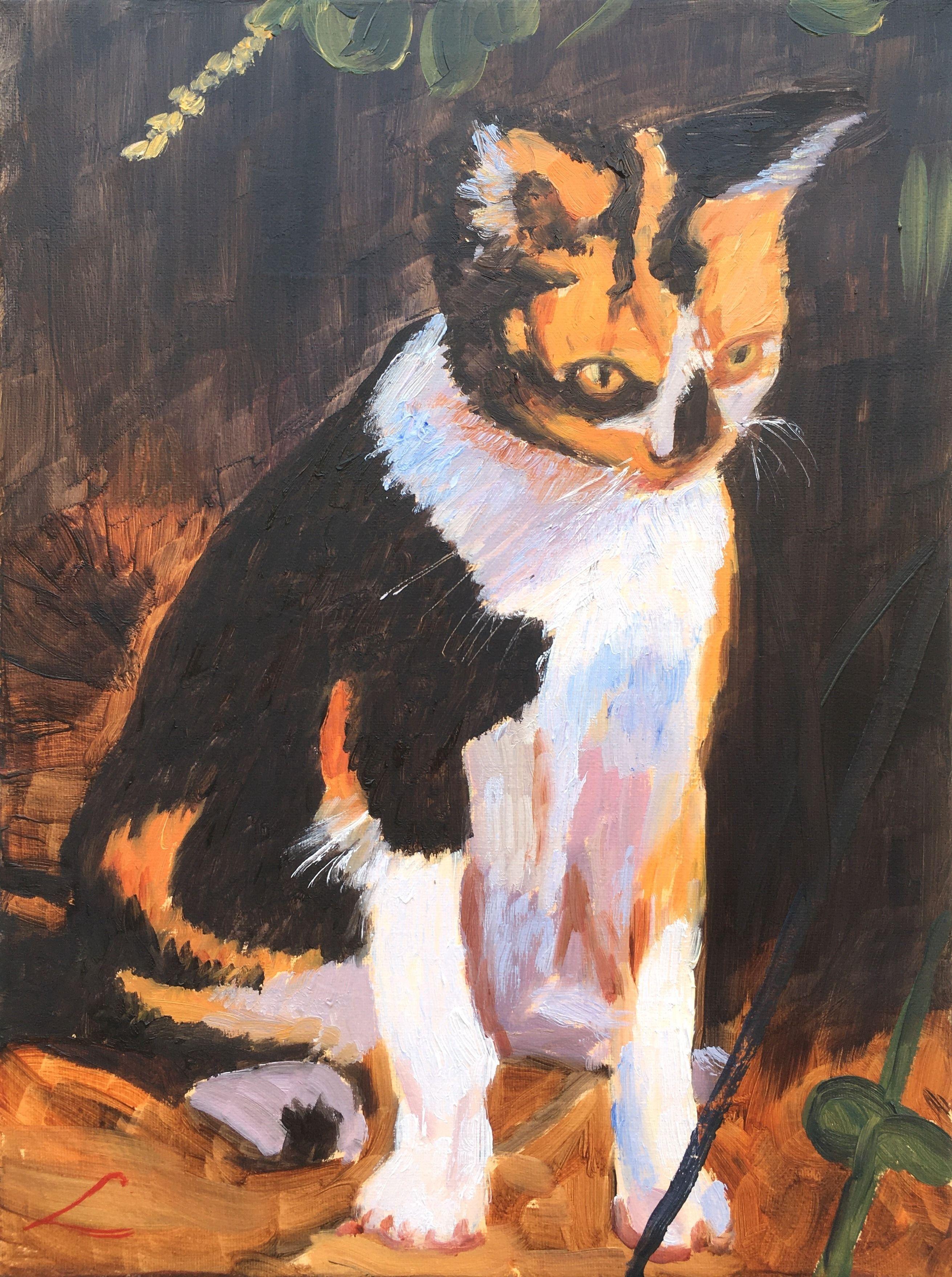 Chat, peinture, huile sur toile - Art de Elena Sokolova