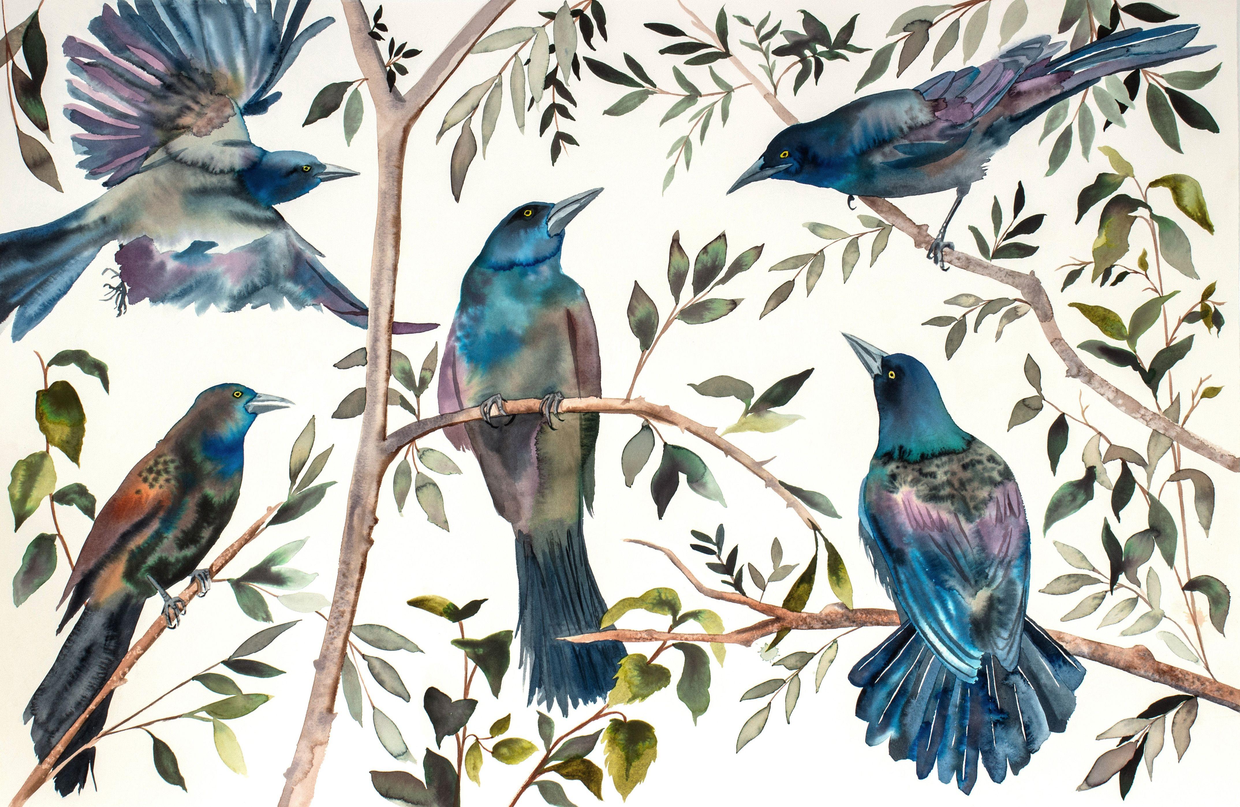 Hirondelles bicolores, peinture, aquarelle sur papier