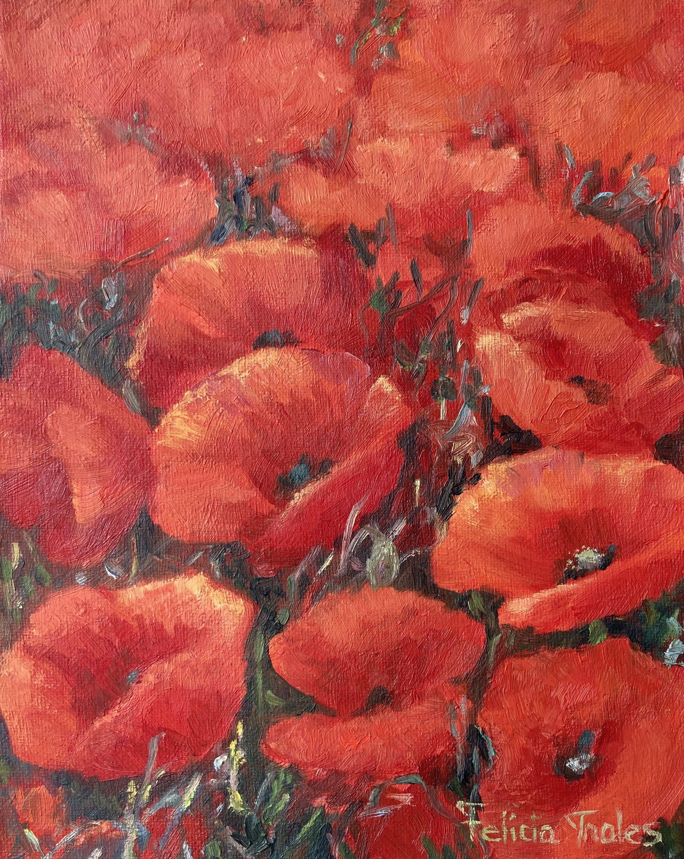 Mohnblumen, Gemälde, Öl auf Leinwand – Art von Felicia Trales
