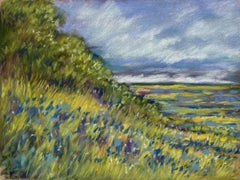 Blue Bonnet Hill, Painting, Pastels on Paper