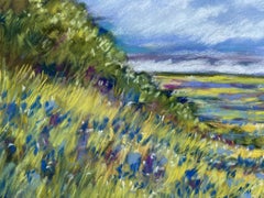 Blue Bonnet Hill, Painting, Pastels on Paper