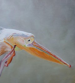 Hungry Pelican, Painting, Oil on Other