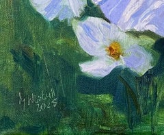Cosmea, Pittura, Olio su tela