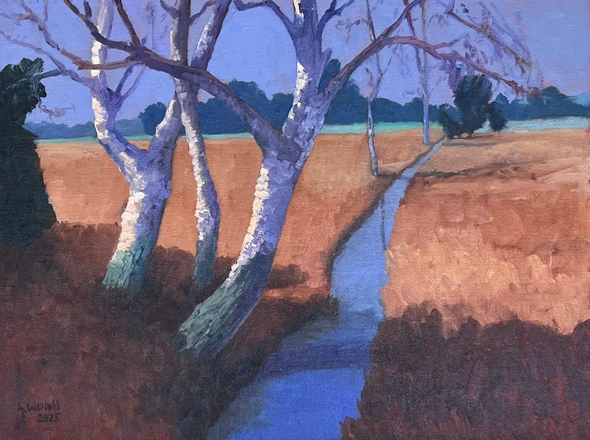 The colors of the Devil's Moor, Painting, Oil on Canvas - Art by Gary Westall