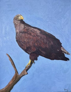 Sea Eagle - Queen of the Skies, Painting, Oil on Other