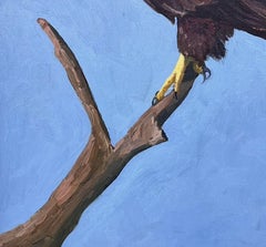 Sea Eagle - Queen of the Skies, Painting, Oil on Other