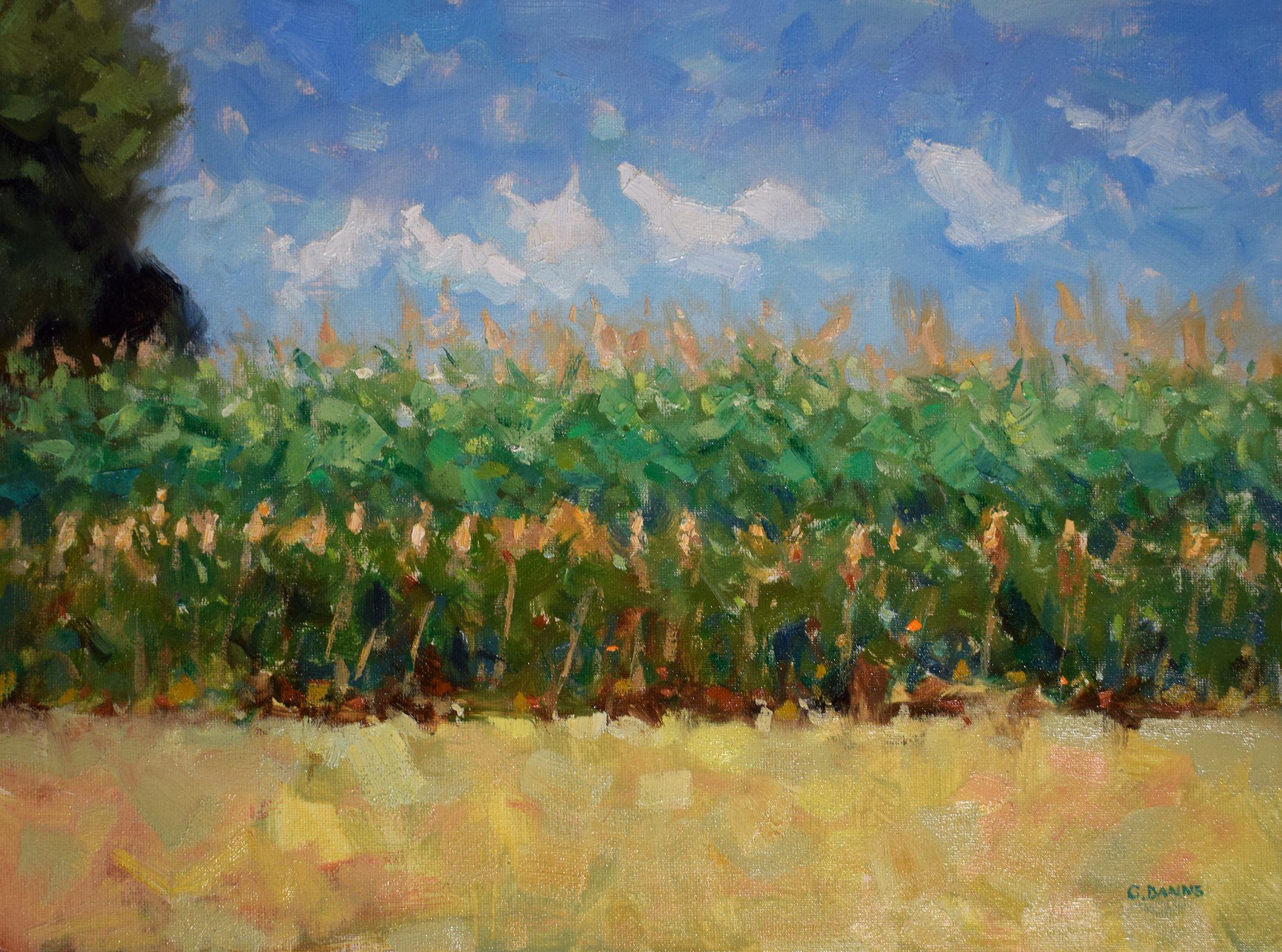 Field of corn with dancing clouds impressionism, Painting, Oil on Canvas - Art by Gav Banns