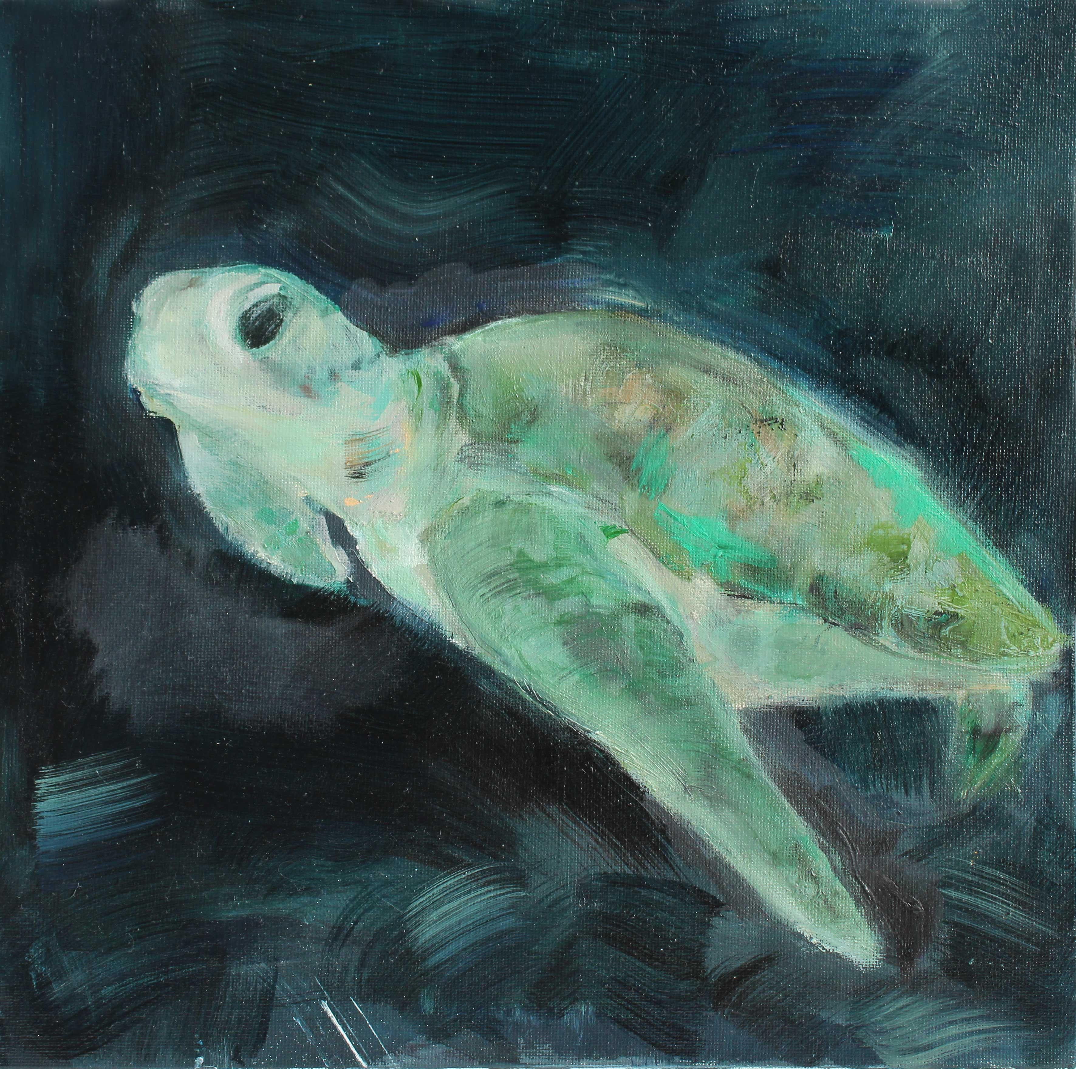 Green Sea Turtle, Painting, Oil on Canvas - Art by Gavin O'Donoghue