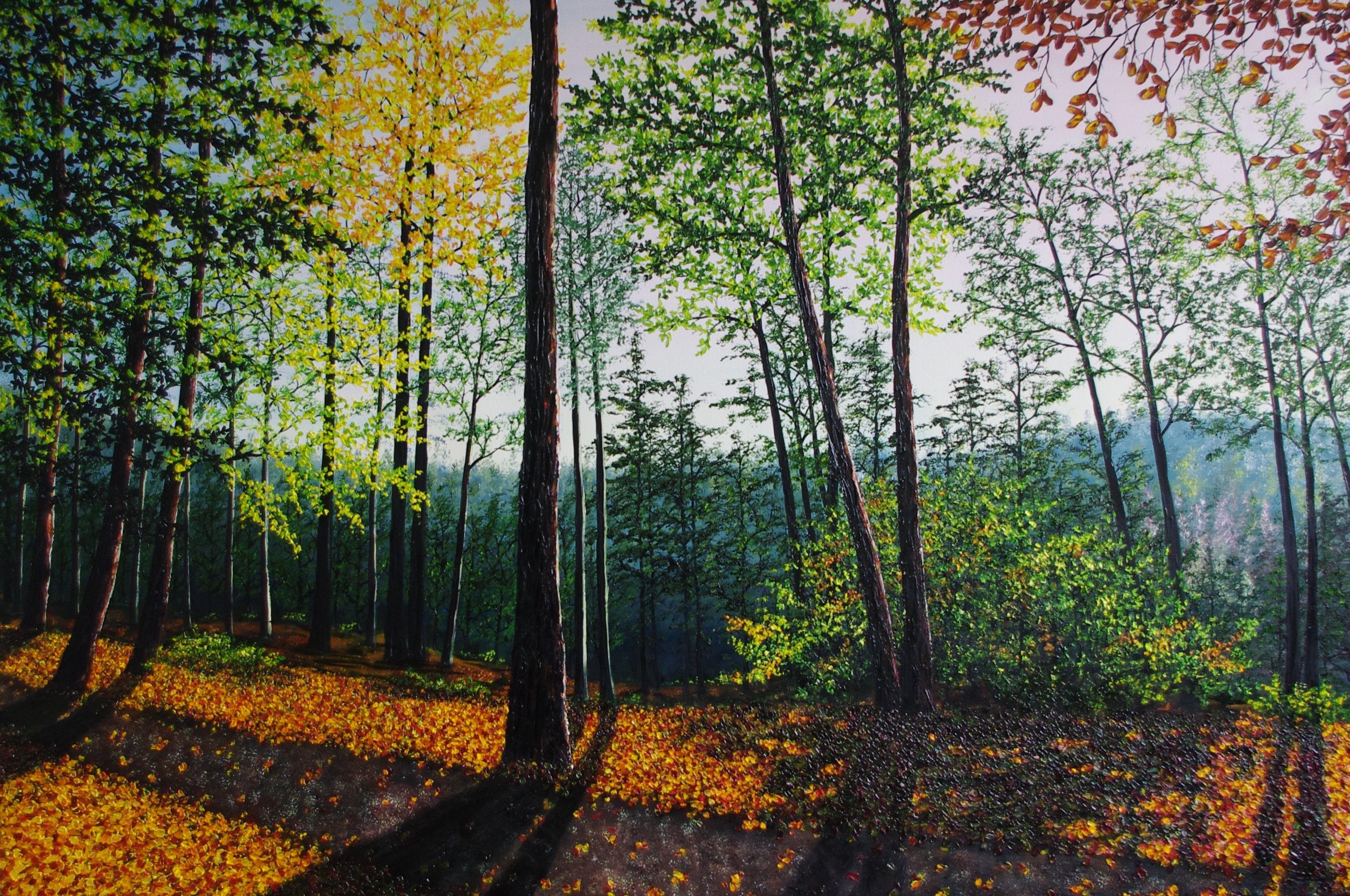 Autumn Forest Light, Painting, Oil on Canvas - Art by Hazel Thomson