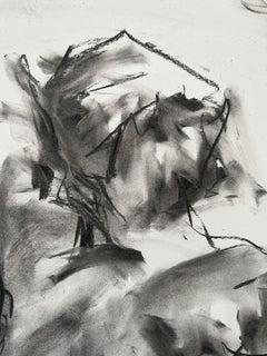 The Light, Drawing, Charcoal on Paper