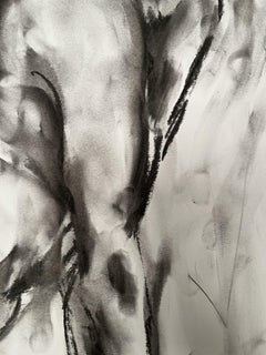 Stagioni, Disegno, Carboncino su carta