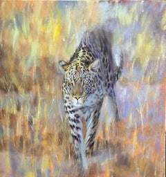 Leopardo di Savuti al tramonto, Pittura, Olio su tela