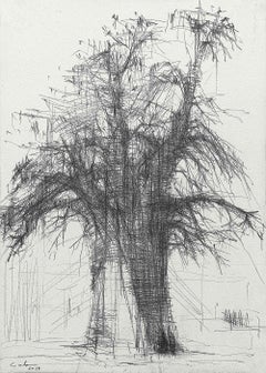 Baobab N1 de Calo Carratal - œuvre sur papier, dessin au graphite, vendue encadrée