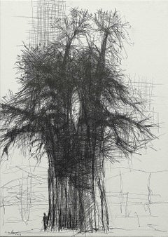 Baobab N4 de Calo Carratalá - oeuvre sur papier, dessin au graphite, vendu encadré