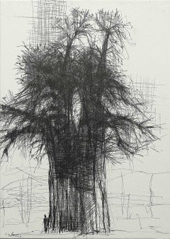 Baobab N4 de Calo Carratalá - œuvre sur papier, dessin au graphite, vendu encadré