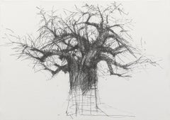 Baobab N7 de Calo Carratalá - oeuvre sur papier, dessin au graphite, vendu encadré
