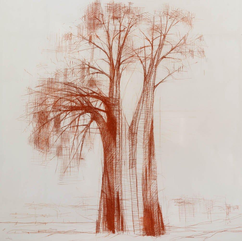 Conte pencil Sanguina on laminated wood. 293 cm × 295 cm // 9.6 ft x 9.7 ft.
This series of drawings is inspired by the artist's travel experience in Tanzania and focuses, as the title suggests, on the baobabs, Africa's most characteristic tree.