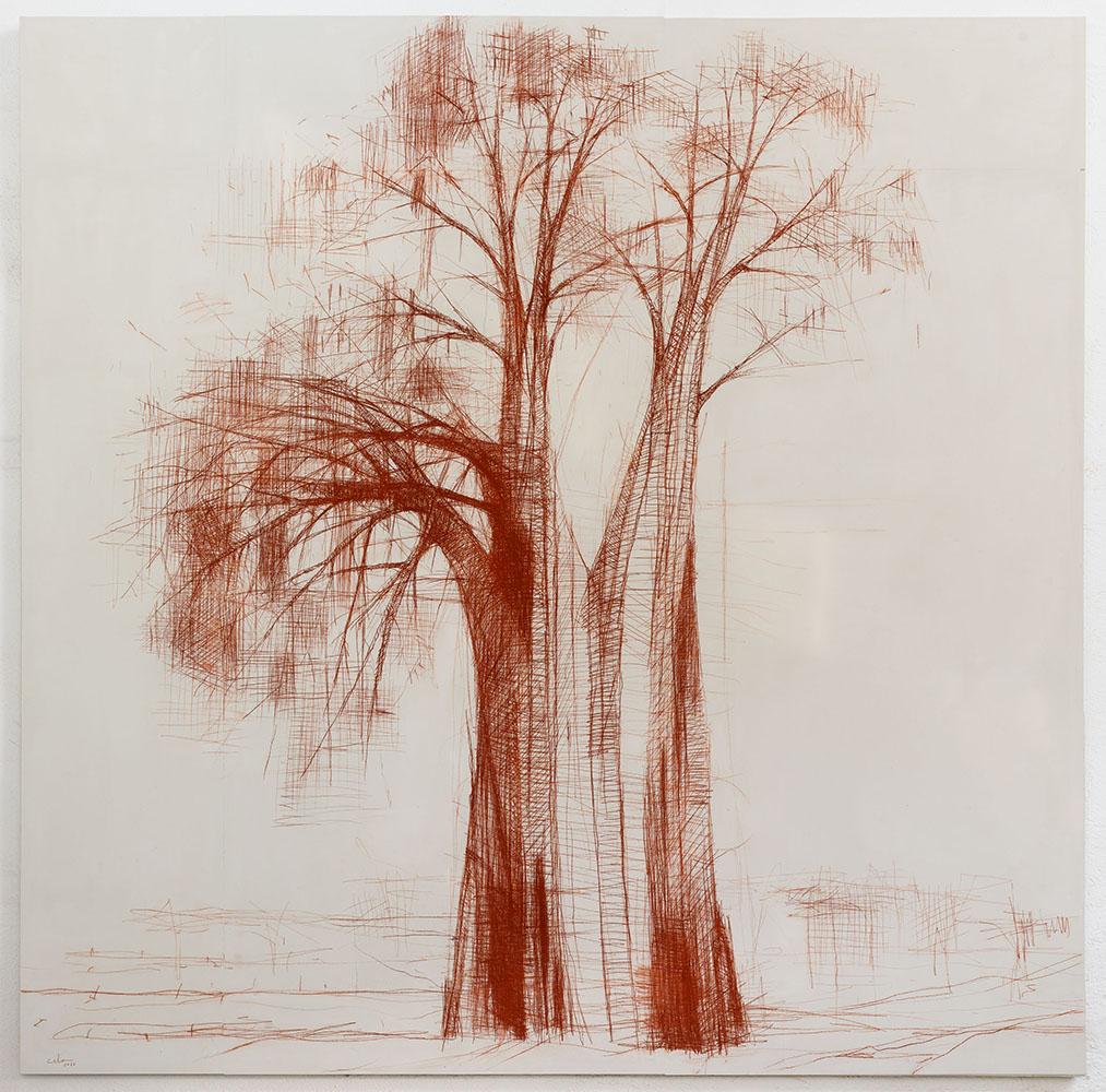 Conte pencil Sanguina on laminated wood. 293 cm × 295 cm // 9.6 ft x 9.7 ft.
This series of drawings is inspired by the artist's travel experience in Tanzania and focuses, as the title suggests, on the baobabs, Africa's most characteristic tree.