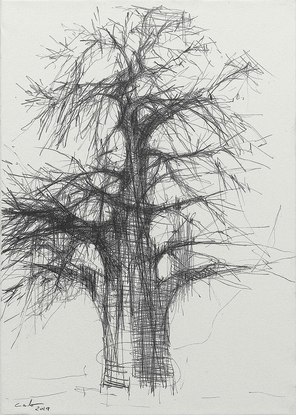 Baobab N3 is a unique graphite on paper mounted on a wood frame drawing by contemporary artist Calo Carratalá, dimensions are 65 × 46 cm (25.6 × 18.1 in). Dimensions of the framed artwork (methacrylate box) : 67 cm x 48 cm x 4 cm (26.3 x 18.8 x 1.5