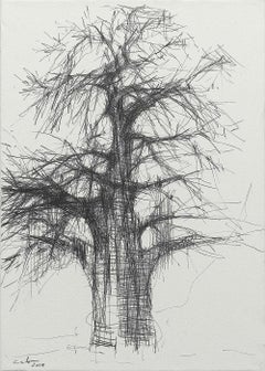Baobab N3 par Calo Carratalá - Oeuvre sur papier, dessin au graphite, arbre, Afrique
