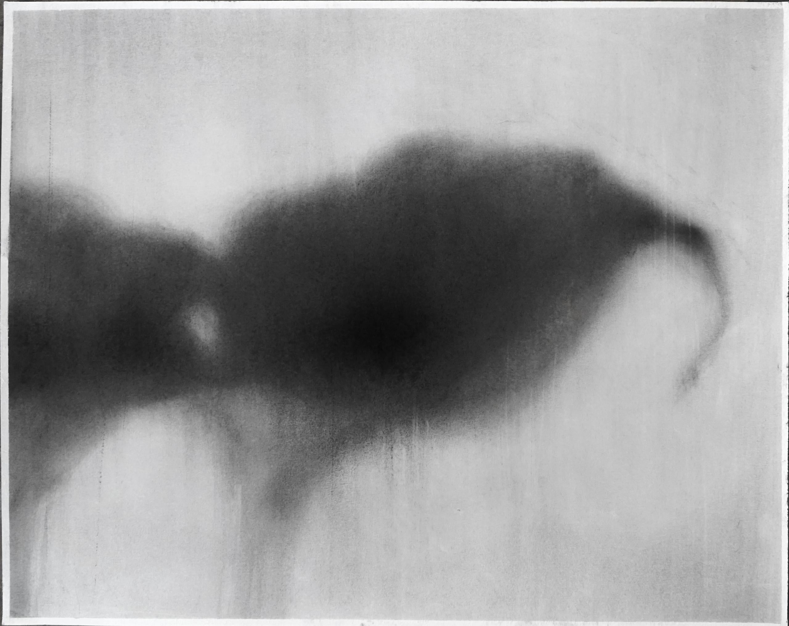 Black Callas is a unique black chalk on paper painting by contemporary artist Guy Oberson, dimensions are 40 × 50 cm (15.7 × 19.7 in). 
The artwork is signed, sold unframed and comes with a certificate of authenticity. 

For twenty years, Oberson's