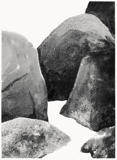 Blockfield #45 (Fontainebleau) by Yann Bagot - Contemporary ink drawing, rock