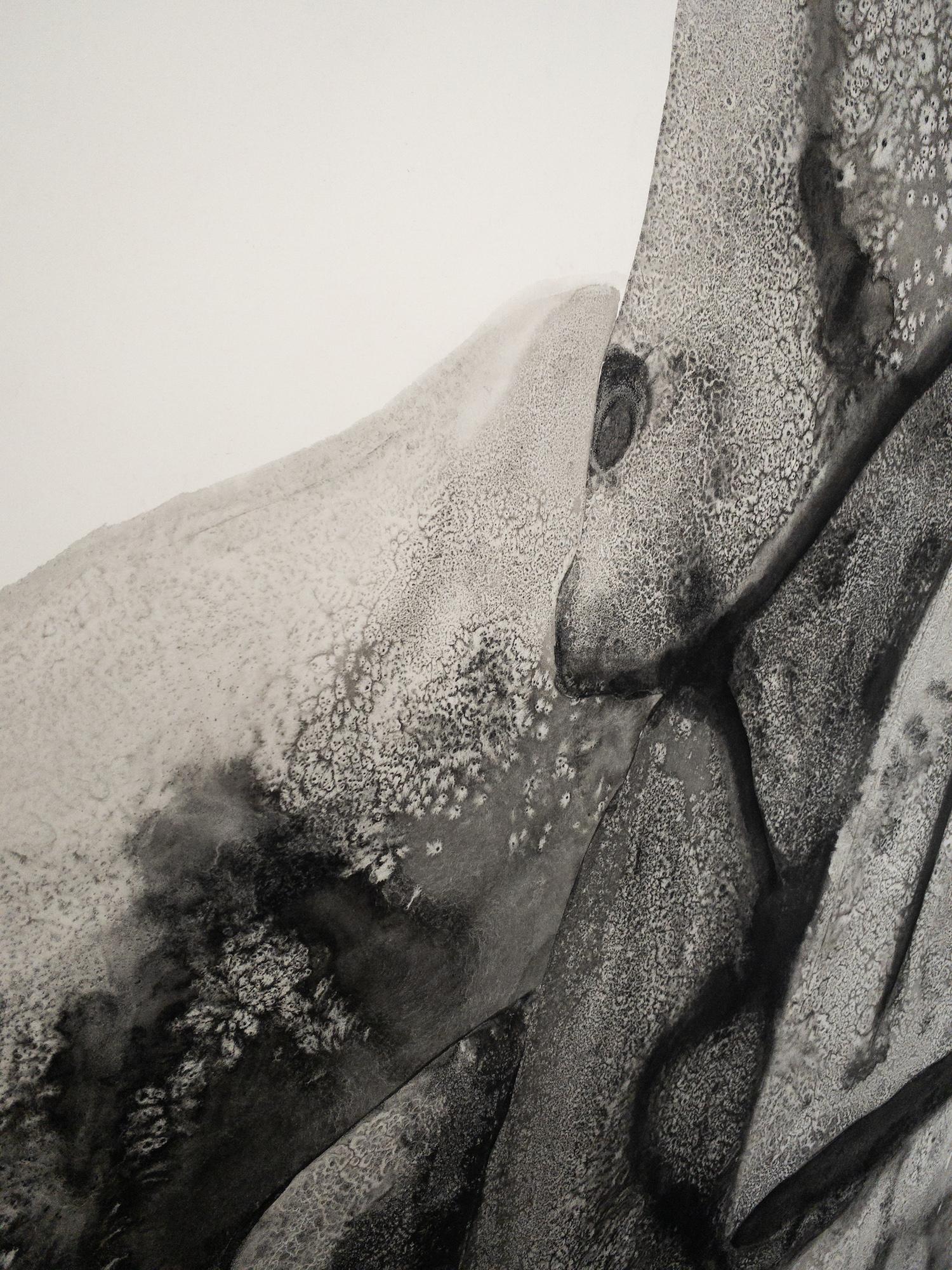 Promontories #12 by Yann Bagot - Contemporary ink drawing, landscape, powerful For Sale 7