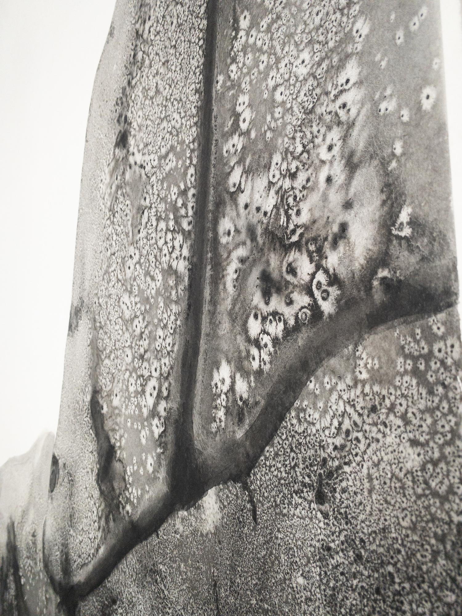 Promontories #12 by Yann Bagot - Contemporary ink drawing, landscape, powerful For Sale 10